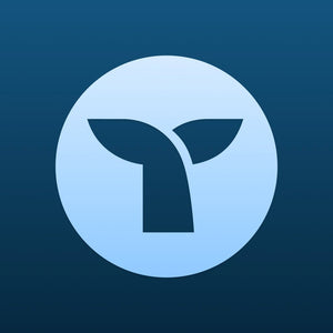Shopify Checkout