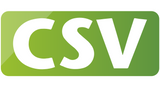 CSV Files